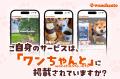 ドッグフレンドリーな店舗・施設・イベントなどの各種