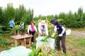 日本有数の杜仲茶の産地・福井県高浜町で一次産業ワー