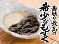 活美登利、9月3日（木）より秋の2企画を同時スタート