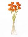 秋の和花が9月2日～販売開始！メインからサブまで全50