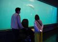 【三重・鳥羽旅館組合×鳥羽水族館】冬の夜の水族館を