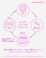 ケンザンが新しいケンザンの材料へ生まれ変わるリサイ