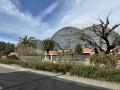 【キーコーヒー×夢の島熱帯植物館】コーヒーの育utf-8 【キーコーヒー×夢の島熱帯植物館】コーヒーの育utf-8