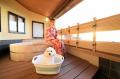 西伊豆の2つの温泉宿×「土肥金山」コラボ　宿泊者限定
