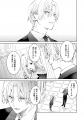 領主と執事、王子とメイド、令嬢と騎士etc...ALLハッ