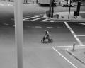Brompton × and wander ―都市と自然をシームレスにつ