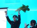 【上越市立水族博物館 うみがたり】『うみがたり』の