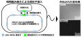 エビの病気を抑える細菌を、約90万個の「水滴」から見