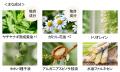 調香師が紡ぐ、繊細な香りを愉しむ「メゾンレクシア 
