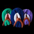 ばあばたちと作る性教育パペット「Ba-Vulva」、手のひ ばあばたちと作る性教育パペット「Ba-Vulva」、手のひ