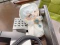 『意識高いぬいぐるみ』求む。次世代のリーダーを発掘