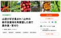 シルバーウィークは“収穫の秋”へ。稲刈り・イチジク収