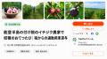 シルバーウィークは“収穫の秋”へ。稲刈り・イチジク収