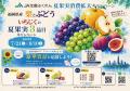 福岡県産旬の味覚が博多駅に集合！9/5.6 「夏の果実フ