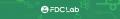 【スキル・アサイン管理DX】人材管理支援ツール「fapi