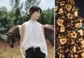 焦点工房、レンズブランド Brightin Star（ブライティ