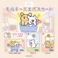 「Maltese（モルチーズ）」が有楽町マルイと京都ポル