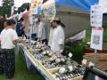 京都最大級のパンの祭典「京都パンフェスティバル in 