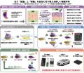 【大阪工業大学】光を当てるだけできれいに剥がれる接