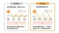 お得な2足組で毎日使える脚もとのUVケア UV対策スト お得な2足組で毎日使える脚もとのUVケア UV対策スト
