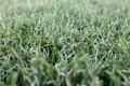 「KAMAKURA BASKETBALL PARK」が「Re Green Grass UMI