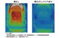 軽々押せて、日差しから赤ちゃんを守る。お出かutf-8