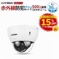 【本日20時開始】H.VIEWグローバル楽天市場店、楽天ス