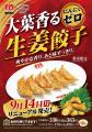 【餃子の王将】大人気商品が爽やかリニューアル!「大 【餃子の王将】大人気商品が爽やかリニューアル!「大