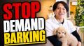 【登録者30,000人突破】東京DOGSの海外向けYouTube「D 【登録者30,000人突破】東京DOGSの海外向けYouTube「D