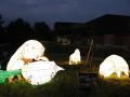 東京電機大学、埼玉県こども動物自然公園「ナイトズー