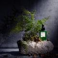エシカル美容をもっと身近に。「GREEN MARKET & LAB. エシカル美容をもっと身近に。「GREEN MARKET & LAB.