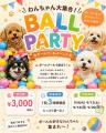 【Pets Tokyo 西大井店】わんちゃん大集合！BALL PART