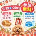 【Pets Tokyo豪徳寺1号店】9月19日・20日開催！豪徳寺