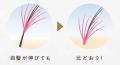 新発想“戻せるエクステ”誕生 大人のエクステ「ヘアア 新発想“戻せるエクステ”誕生 大人のエクステ「ヘアア