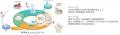 国連気候変動枠組条約第31回締約国会議(COP31)環境省