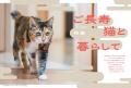 【人間でいえば96歳以上！】20歳超の猫たちを特集した
