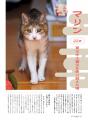 【人間でいえば96歳以上！】20歳超の猫たちを特集した