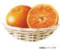 フルーツのみずみずしい美味しさを、もっと身近に感じ