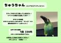 文鳥イベント＆作家様在廊も開催！ことりすまいる最新