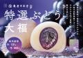 14日間限定！長野県産ナガノパープルのおいしさが贅沢