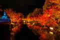 絶景紅葉と秋の極上グルメが集結！秋の三重を五感で楽