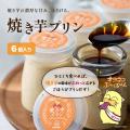『オヨネコぶーにゃん』が茨城県下妻市「ふるさと納税