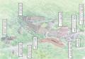 2026年9月19日(土)・20日(日)2日間限定　箱根小涌園 
