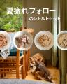 POCHI《夏疲れフォロー》疲れた体を労わるレトルトセ POCHI《夏疲れフォロー》疲れた体を労わるレトルトセ
