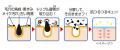 活きた酵素*¹＋温感ブースト*²ジェルで毛穴*³汚れを分