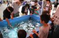 【福井県越前町】福井県最大級の港町・越前町でさかな
