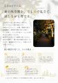 株式会社大凧、夜の外空間を光と緑で育てる新サービス