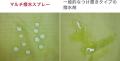 撥水ケアは、手間なく抜かりなく。時短&コスパで続け 撥水ケアは、手間なく抜かりなく。時短&コスパで続け