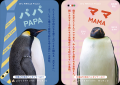 絶滅危惧種「コウテイペンギン」の卵の中に新たないの 絶滅危惧種「コウテイペンギン」の卵の中に新たないの