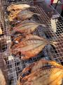「海とマルシェへ。南熱海でいい休日」愛犬と一緒でも